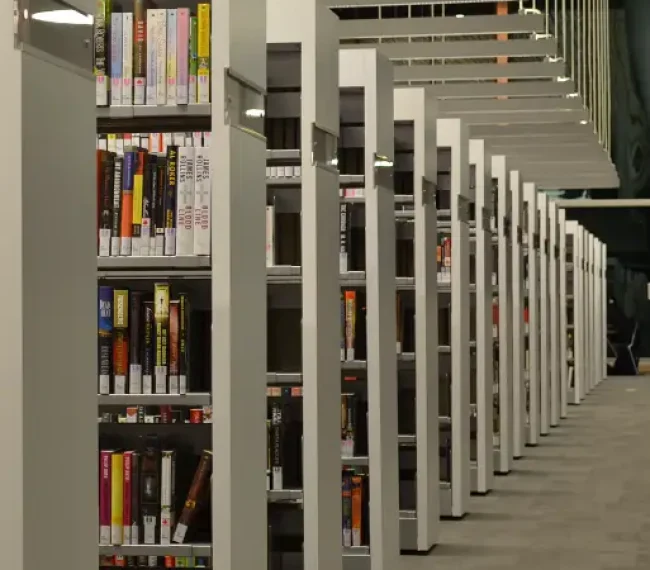 Development Documentation